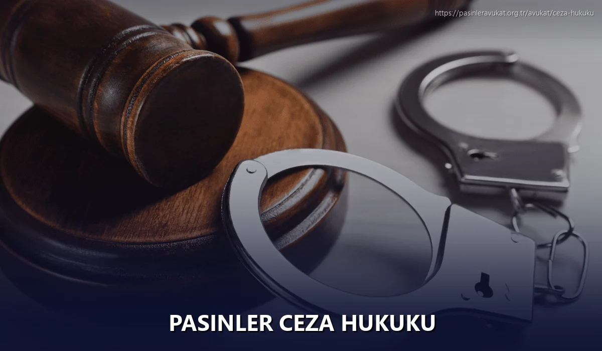 Pasinler Ceza Hukuku